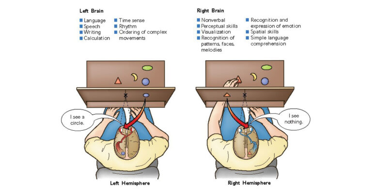 How our brain is lying to us: bizarre neuropsychological insights ...